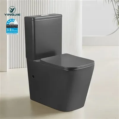 Australië Standaard Watermerk Badkamer Kleur Toilet
